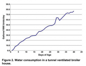 Water consumption in a tunnel ventilated broiler house