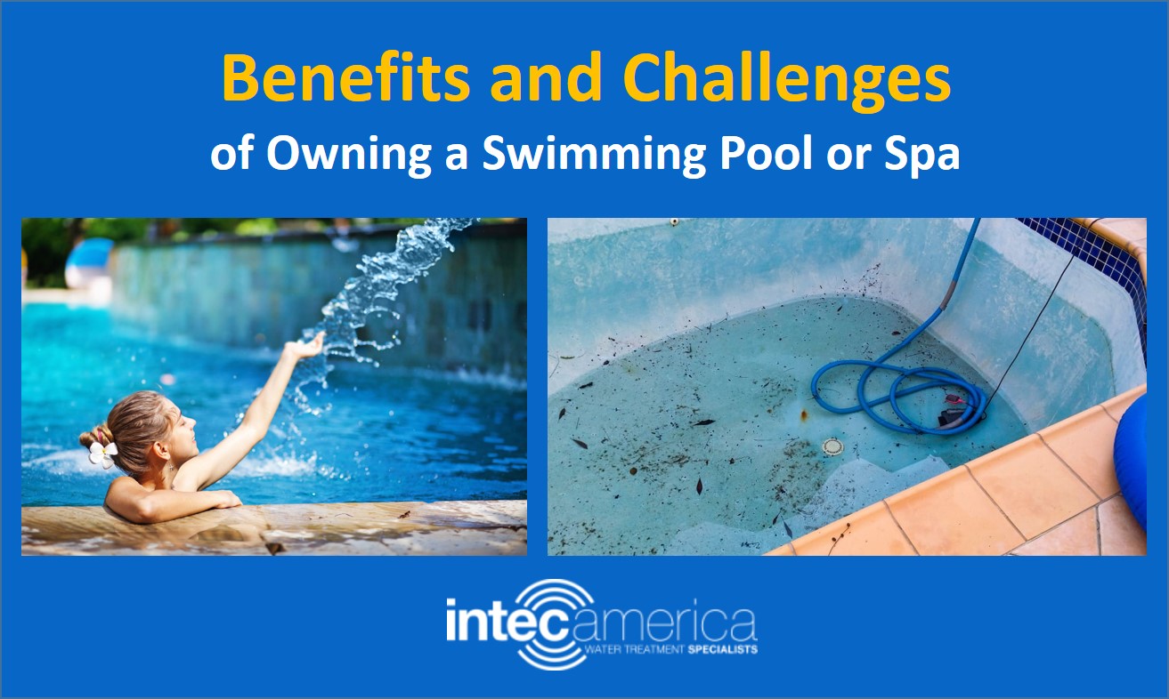 Benefits and Challenges of Owning a Swimming Pool or Spa