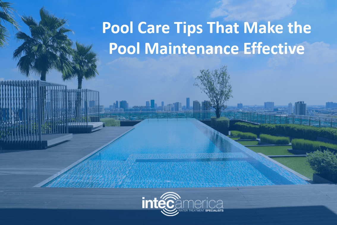 Pool Care Tips That Make the Pool Maintenance Effective