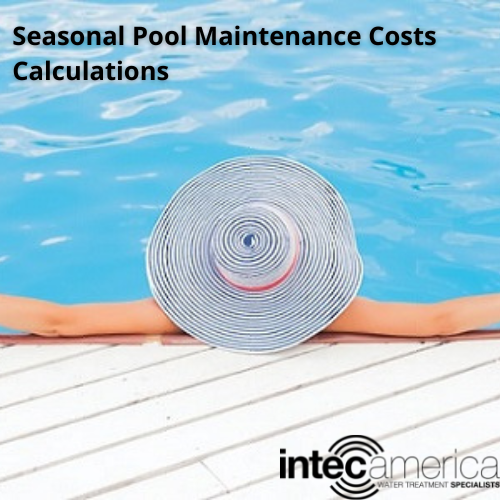 Seasonal Pool Maintenance Costs and Chlorine Alternatives for Pool Sanitization