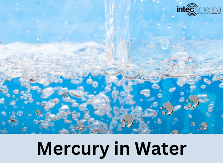 Mercury in Drinking Water – Causes, Effects, and Prevention Explained