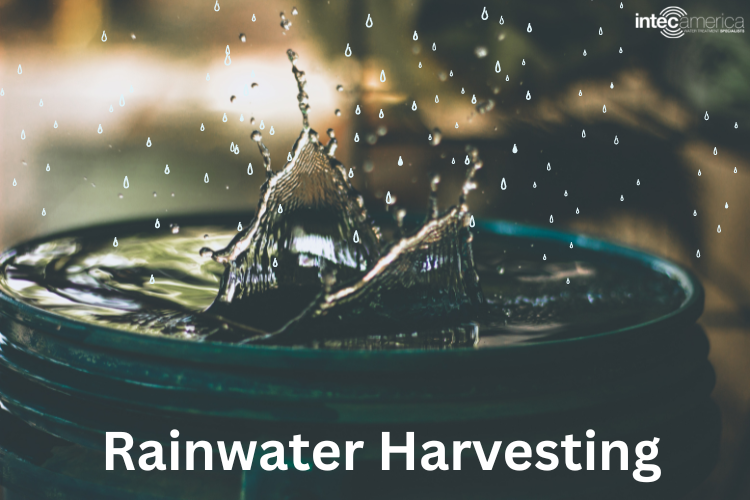 Everything-about-rainwater-harvesting