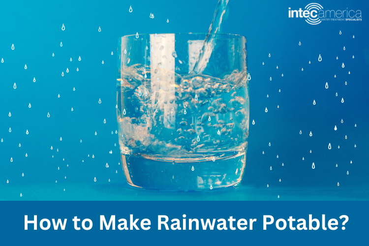 Guide to Make Rainwater Potable