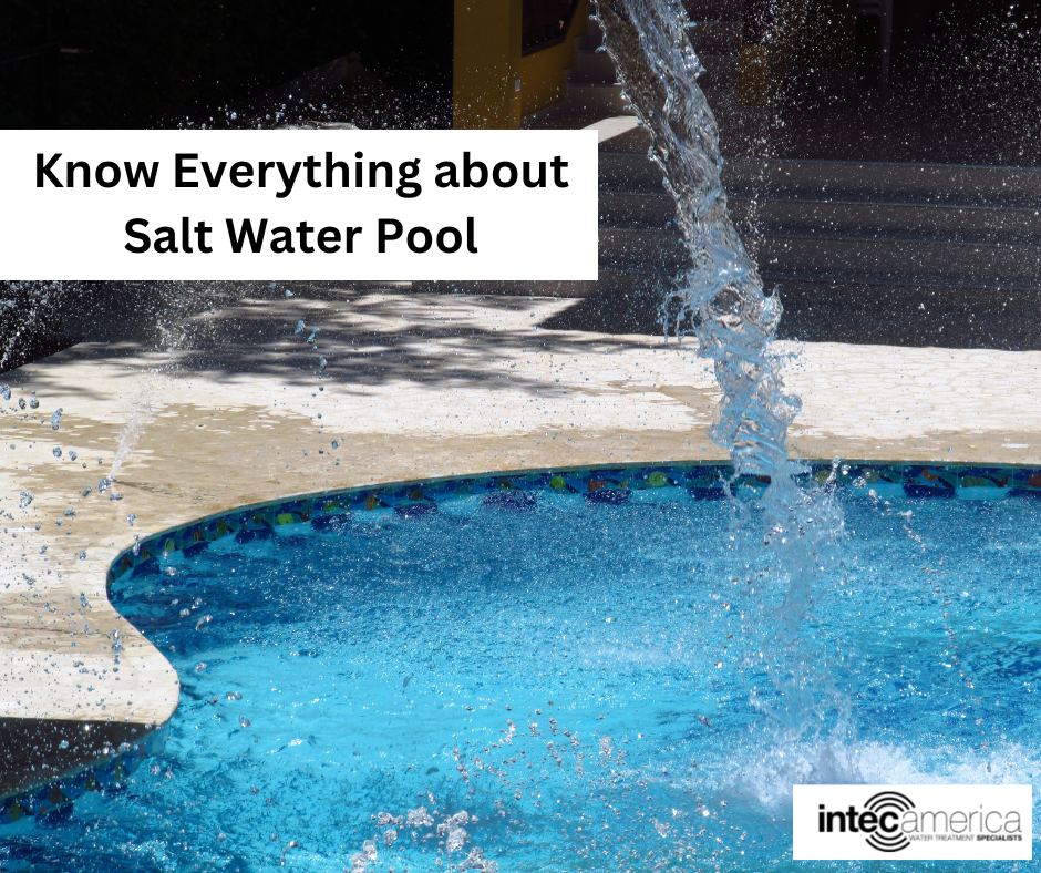 Salt Water Pool System