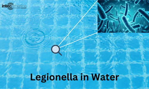 Legionella in Water