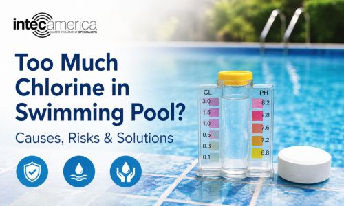 Too Much Chlorine in Swimming Pool? Causes, Risks & Solutions